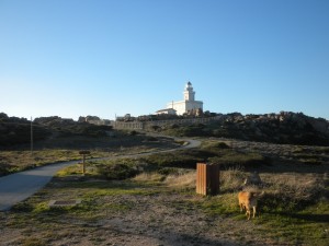 dicembre_2010_299