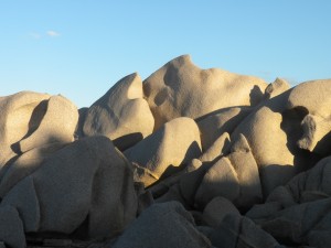 dicembre_2010_318