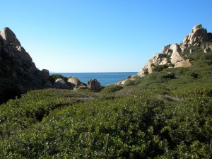 piccolainhome_235_-_copia