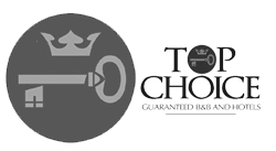 logo_top-choise