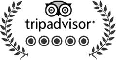 logo_tripadvisor